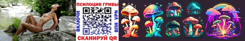 где можно купить   hydra   Галлюциногенные грибы MAGIC MUSHROOMS  Екатеринбург 